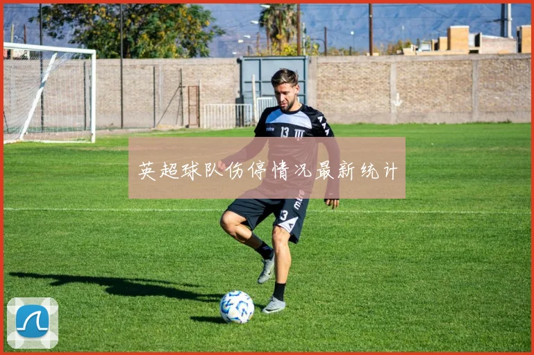 英超球队伤停情况最新统计